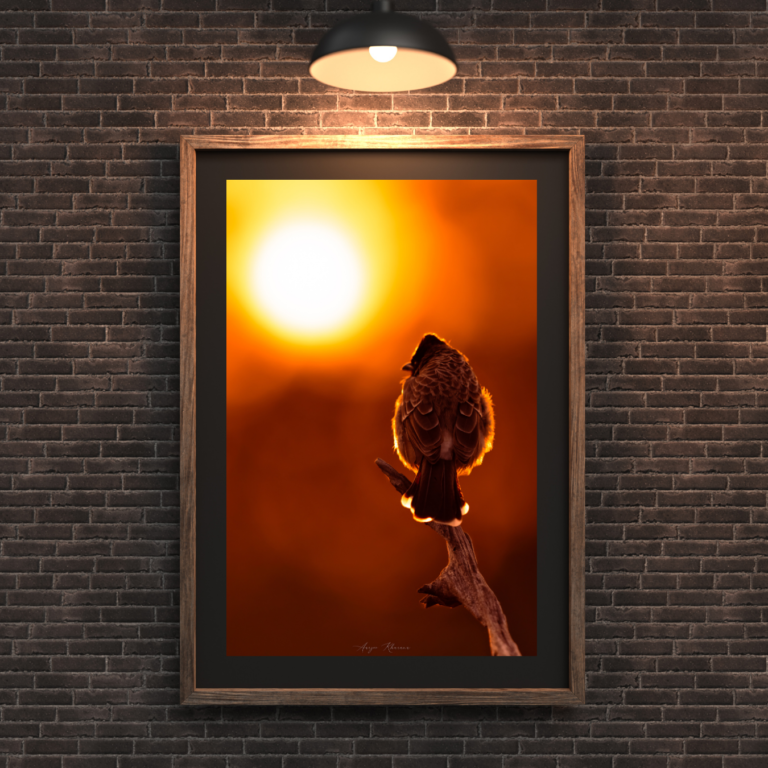 Brown Brick Textured Wall Frame Mockup Instagram Post