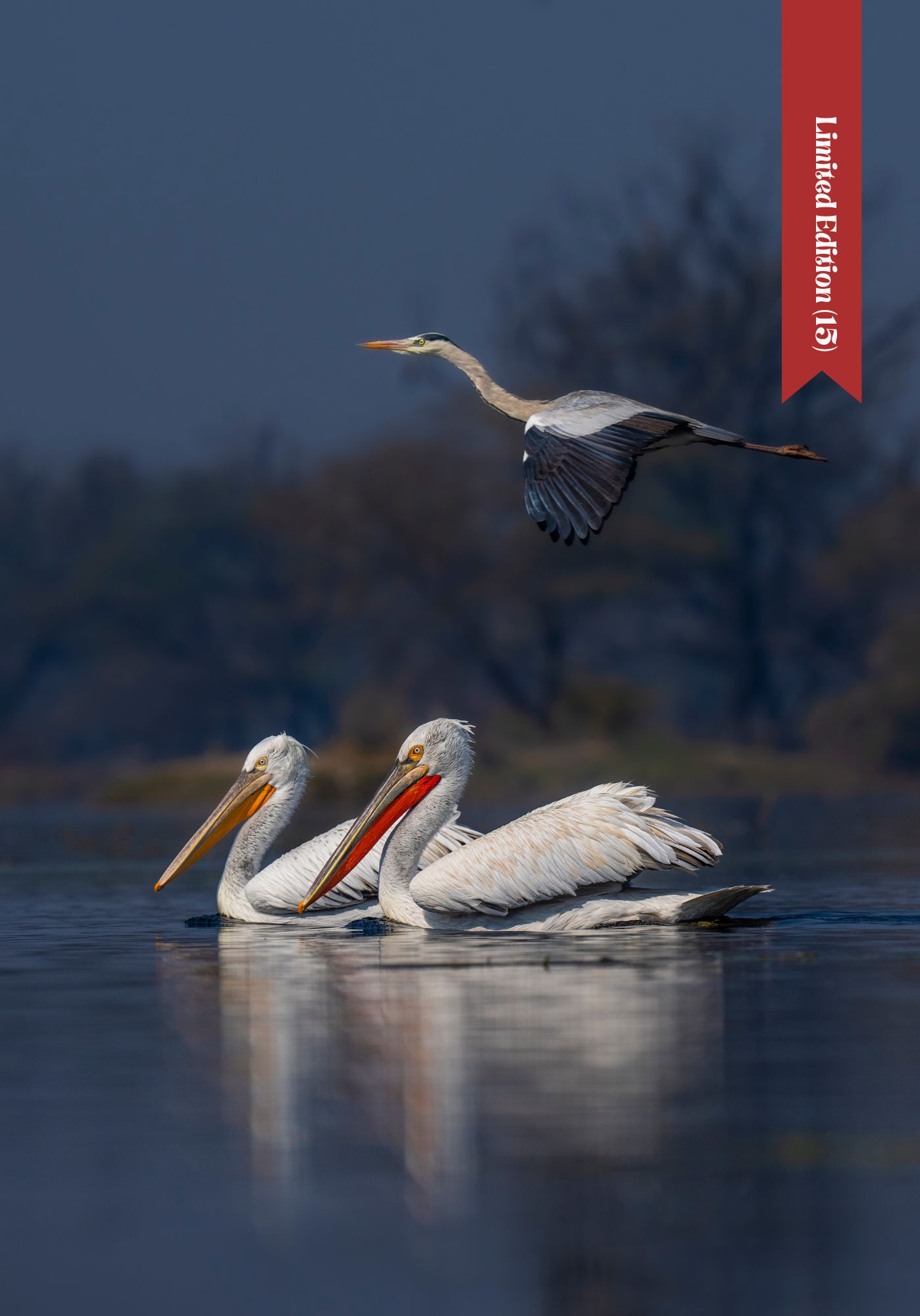 Lord of the skies, Beauties of Water