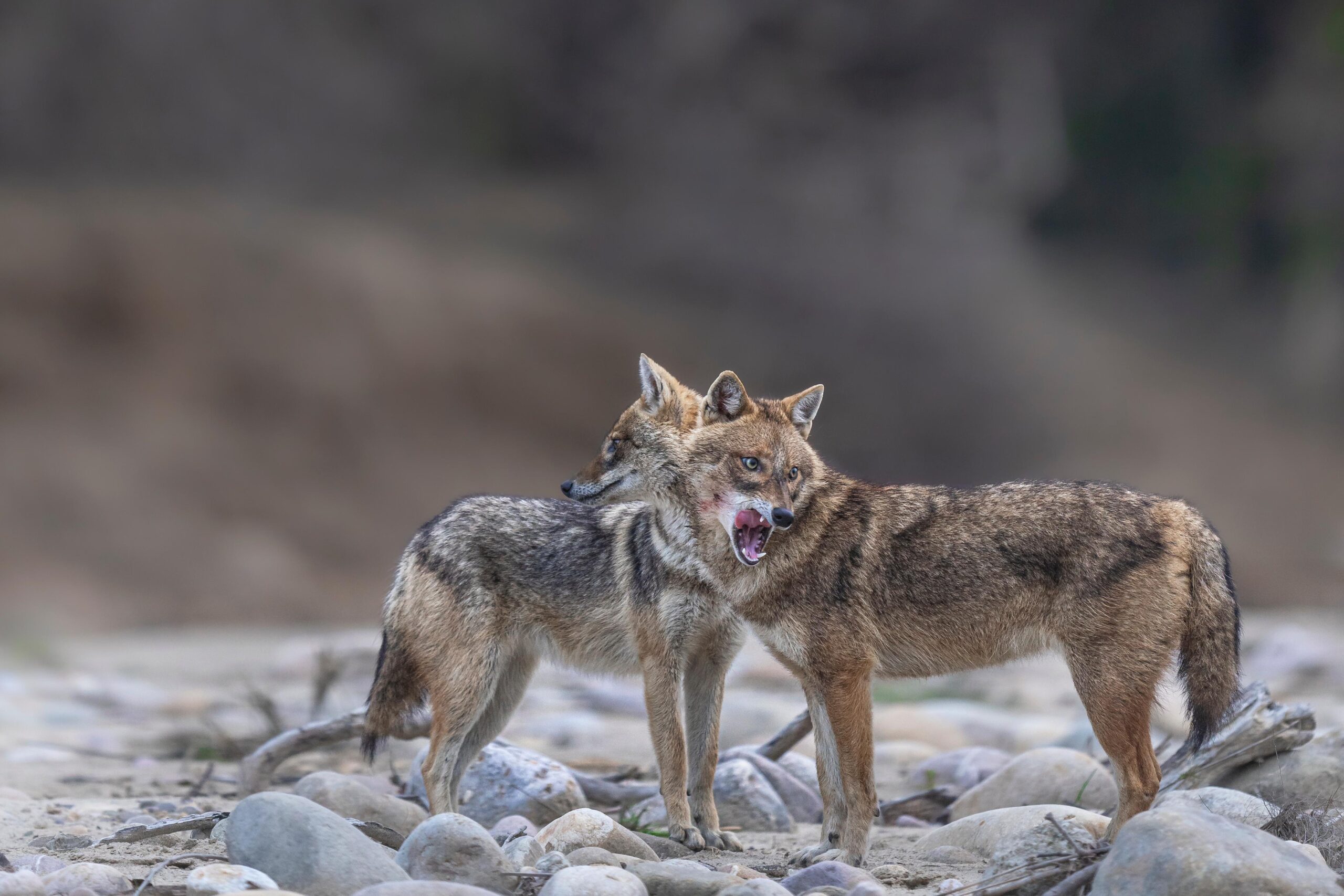 Standing Together