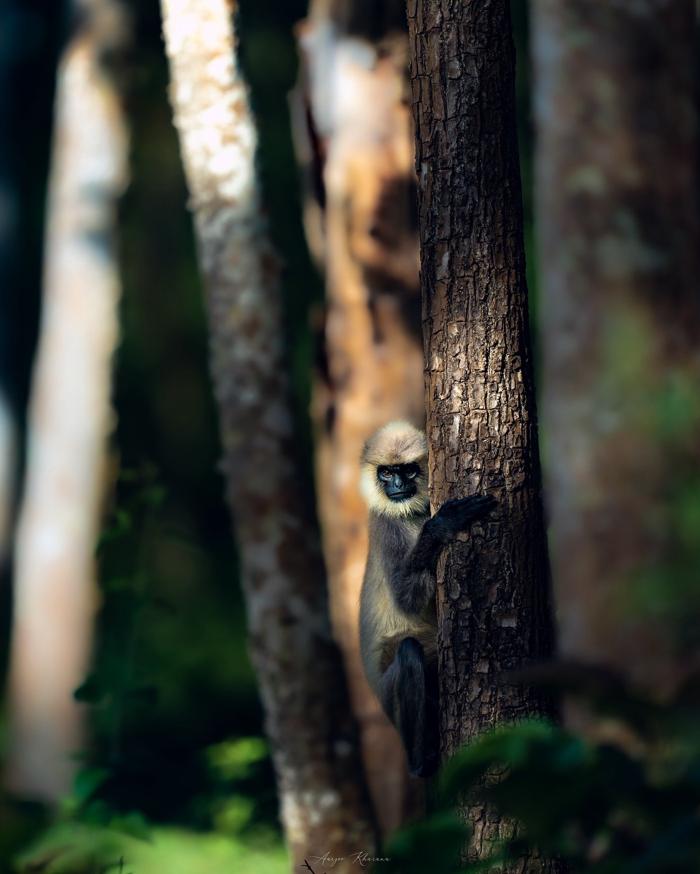 A6EFE232-6410-455A-B9D9-A6443A1F040D