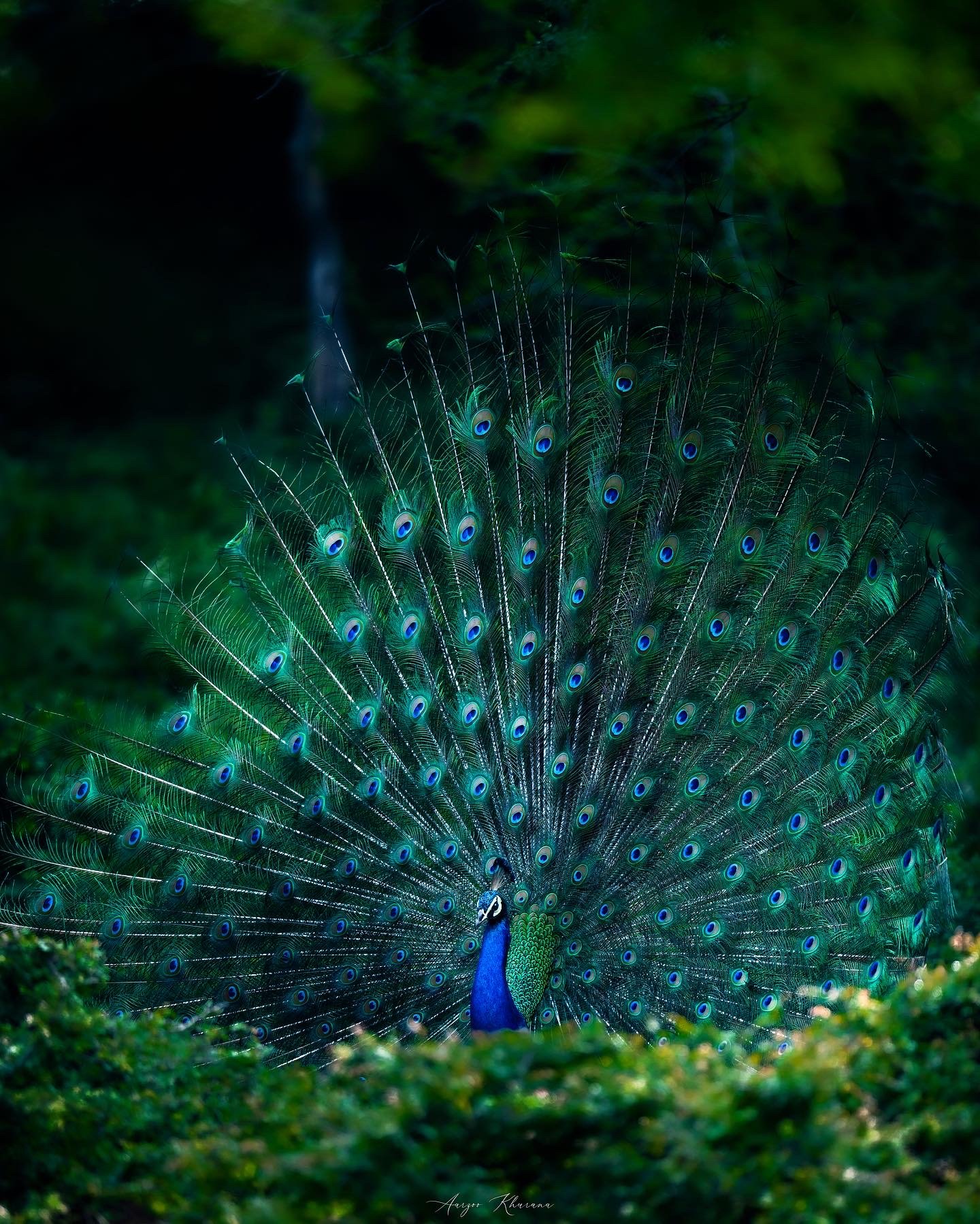 EBE52B1F-9387-42E1-88AD-0A222C589070